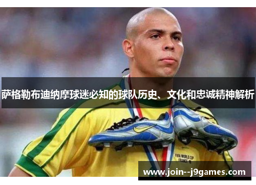 萨格勒布迪纳摩球迷必知的球队历史、文化和忠诚精神解析